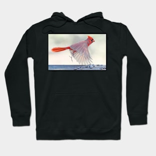 Up & Away... Hoodie